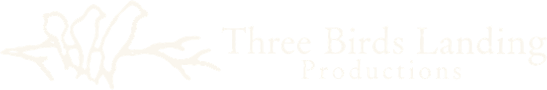 Three Birds Landing Productions